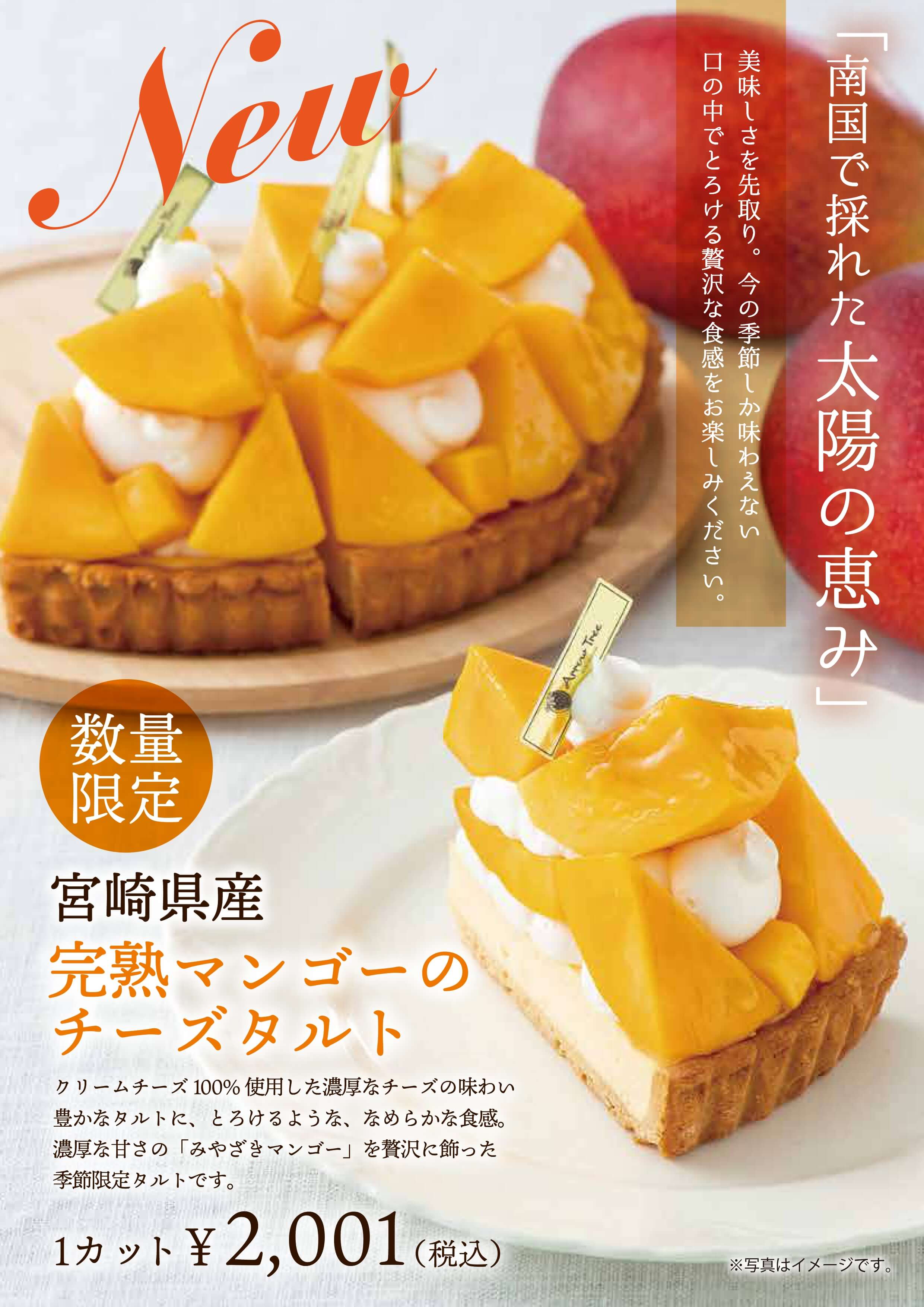 新商品】阪神梅田店・伊勢丹新宿店先行販売＜宮崎県産完熟マンゴーの 